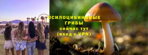 прущая мука Краснослободск