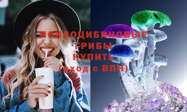 прущая мука Краснослободск