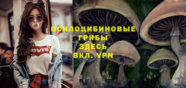 прущая мука Краснослободск
