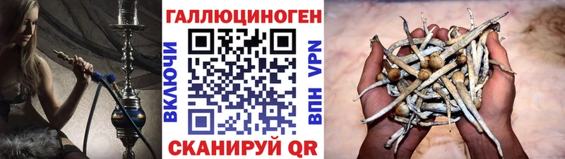 Галлюциногенные грибы прущие грибы Купить Кореновск